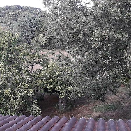 Willa Agriturismo La Tuva Padru Zewnętrze zdjęcie