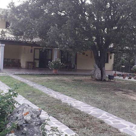 Willa Agriturismo La Tuva Padru Zewnętrze zdjęcie