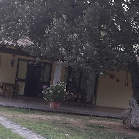 Willa Agriturismo La Tuva Padru Zewnętrze zdjęcie