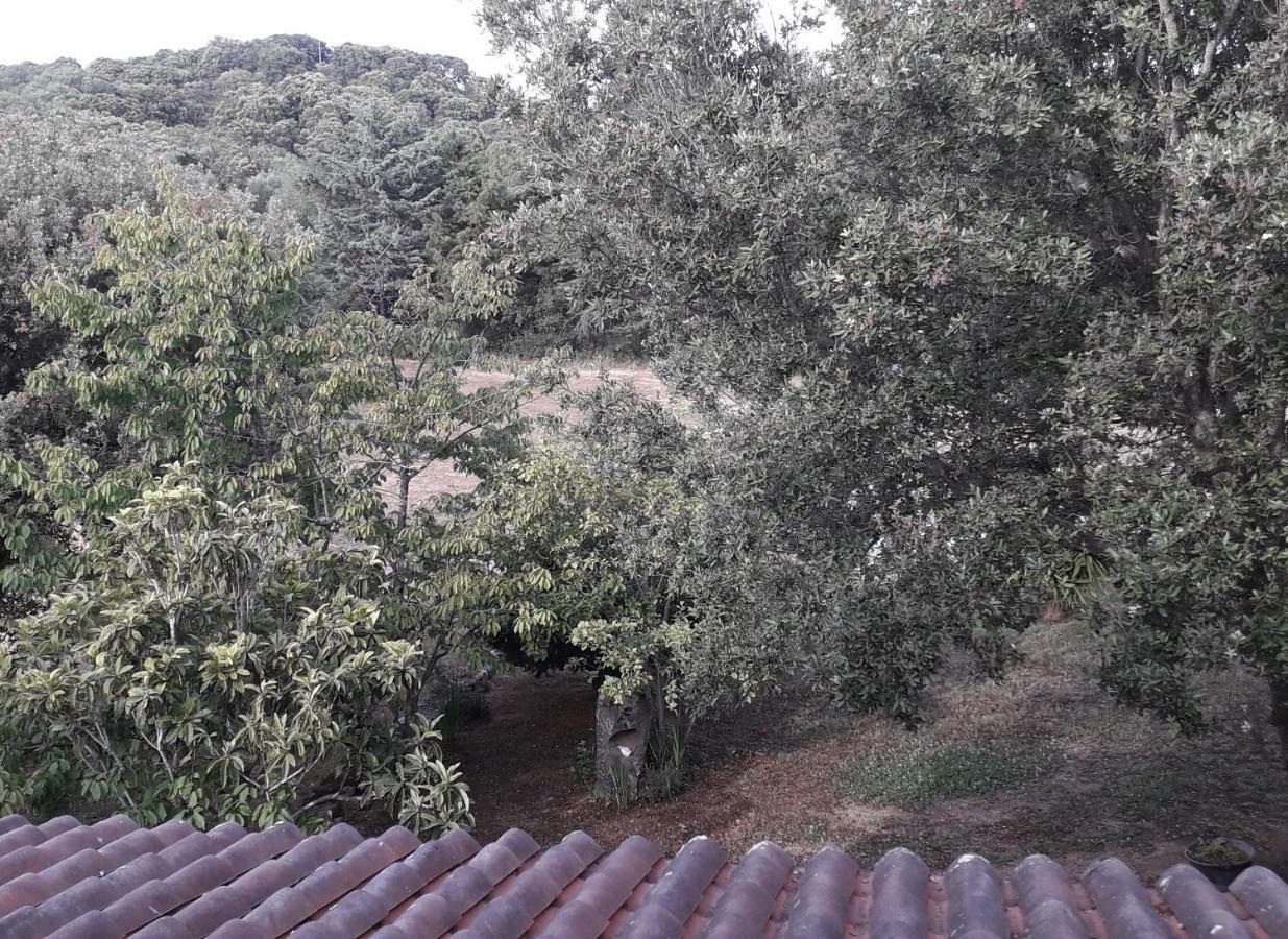 Willa Agriturismo La Tuva Padru Zewnętrze zdjęcie