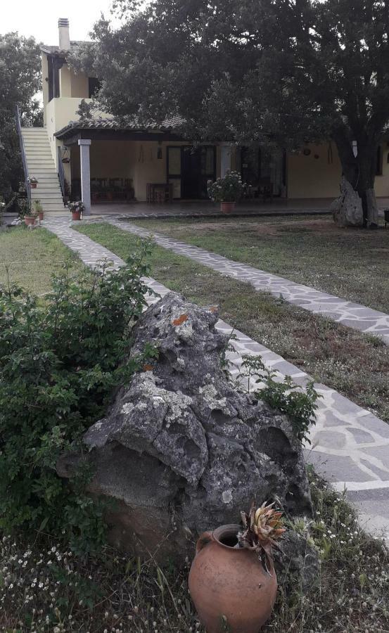 Willa Agriturismo La Tuva Padru Zewnętrze zdjęcie