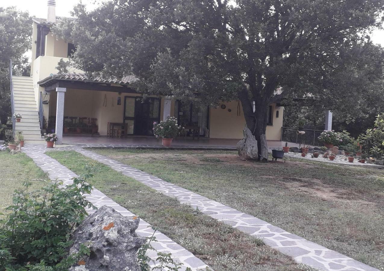Willa Agriturismo La Tuva Padru Zewnętrze zdjęcie