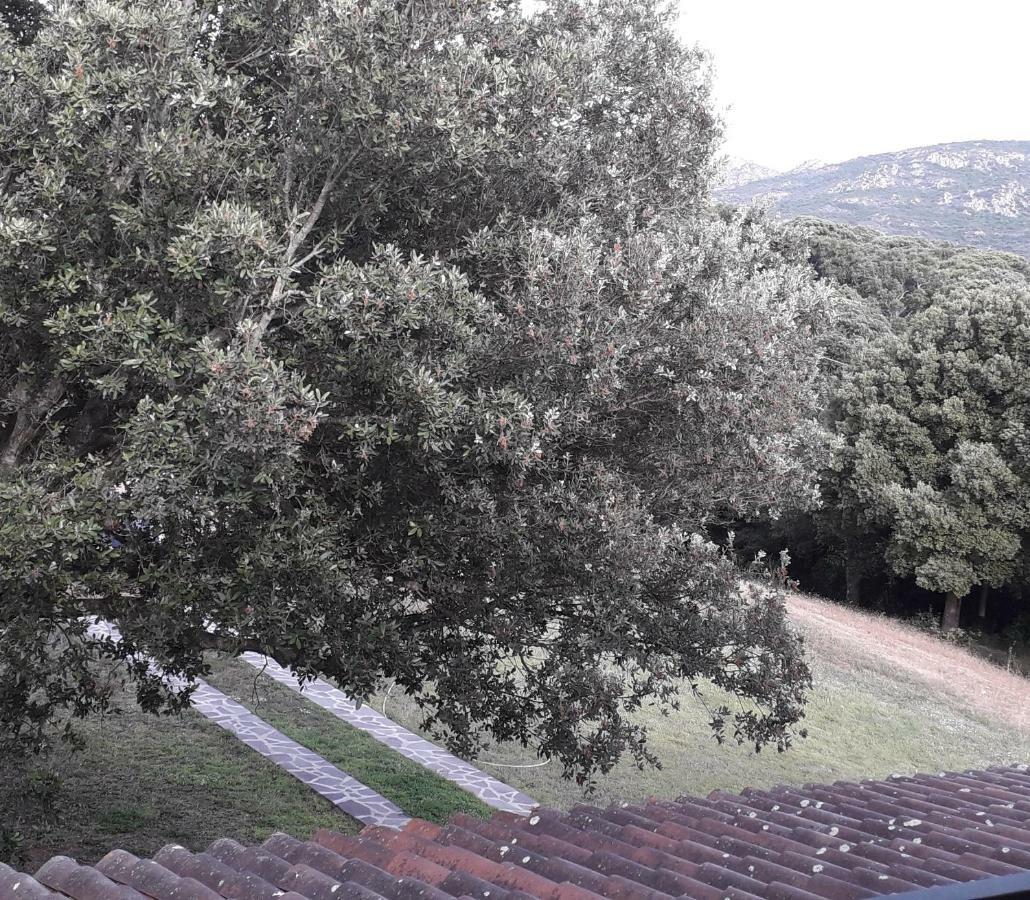 Willa Agriturismo La Tuva Padru Zewnętrze zdjęcie