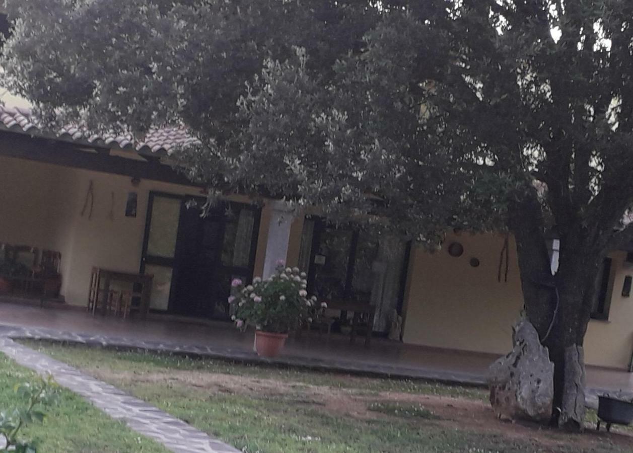 Willa Agriturismo La Tuva Padru Zewnętrze zdjęcie